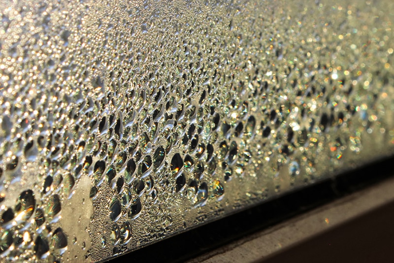 How Can You Manage Your Home’s Humidity? Morning sunlight through window condensation.