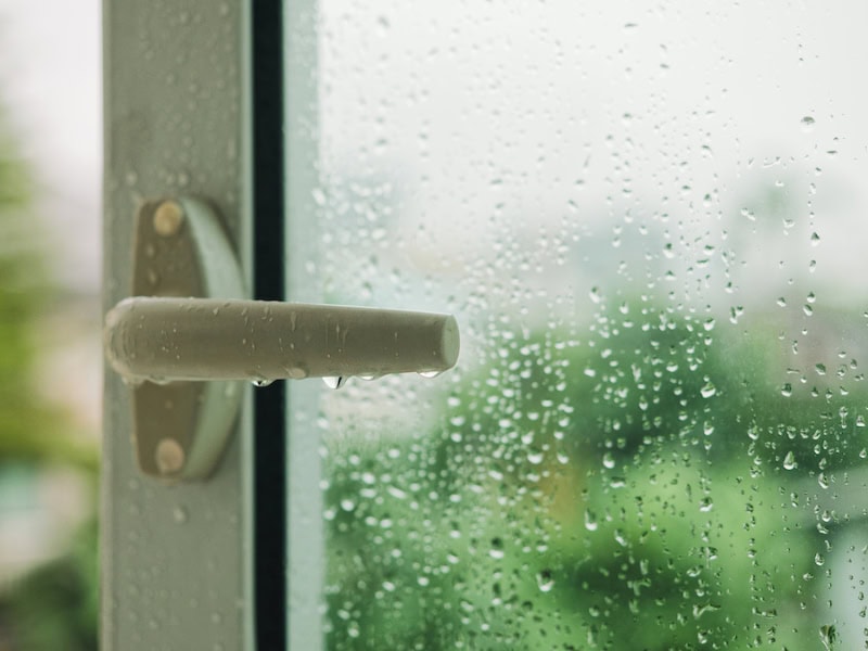 Don't Let Your Home Sweat It Out: A Michigan Guide to Humidity Control. Raindrop on window with Handle Blur tree background Rainy Season.