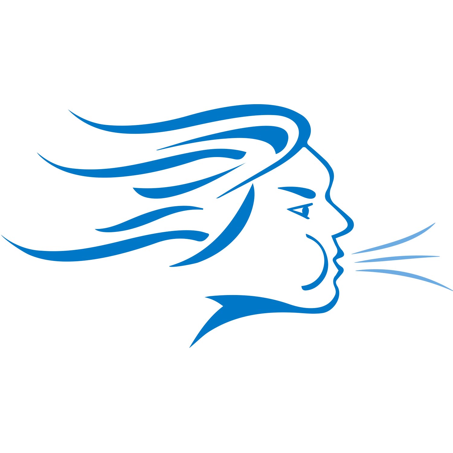 North Winds Heating & Cooling logo