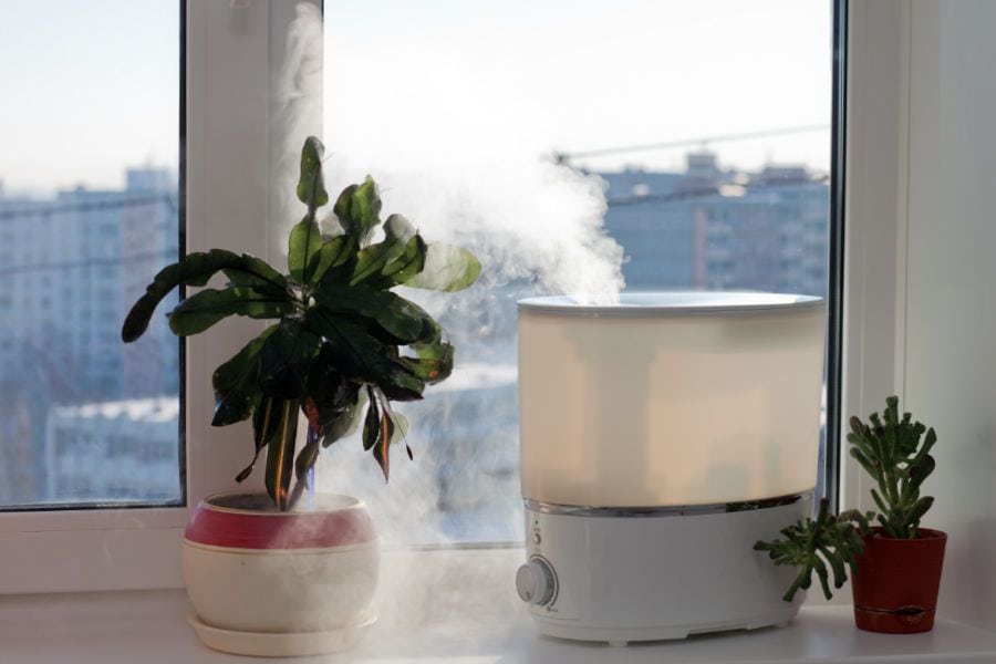 5 Ways to Improve Your Indoor Air Quality. Image is a small humidifier and plant on a white windowsill.